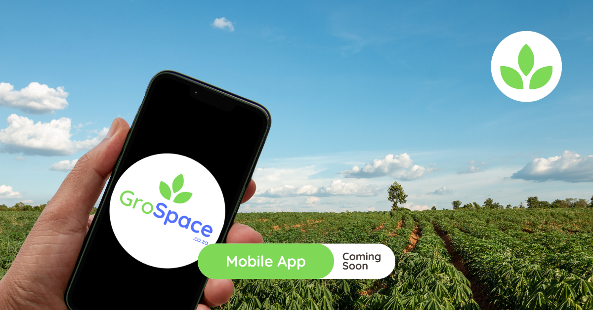 Featured image - Mobile App coming soon