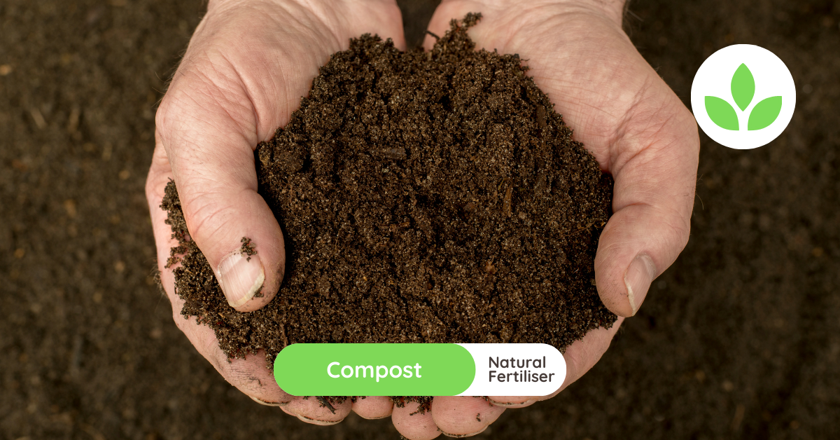 GroSpace - Compost post featured image