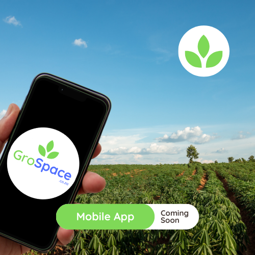 Post image GroSpace - Mobile App