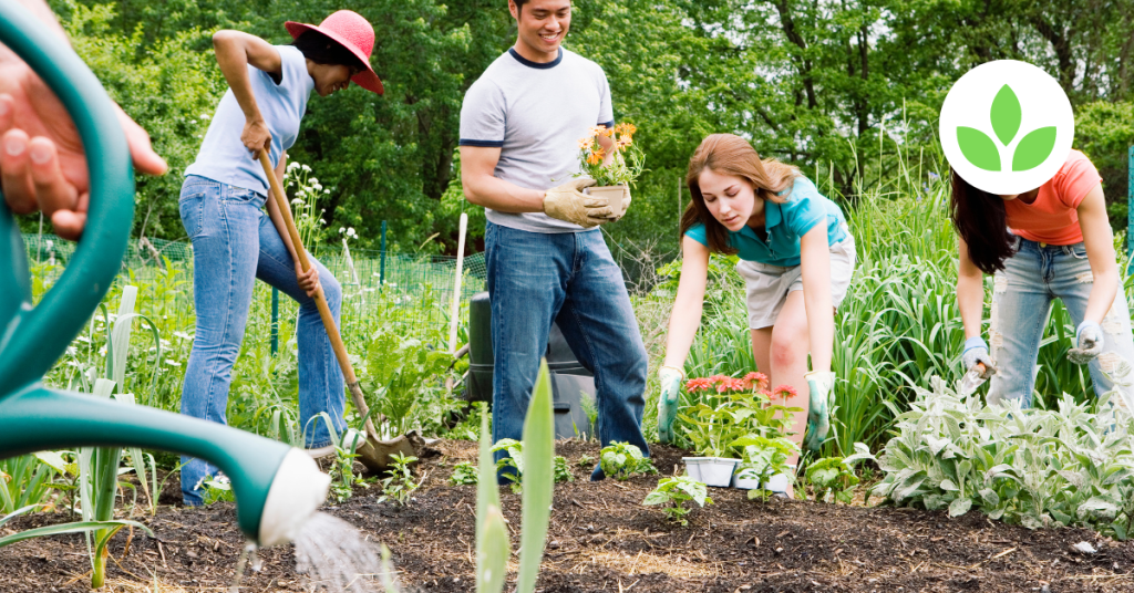 Featured image - Community Gardening with GroTowers Building Stronger Neighborhoods