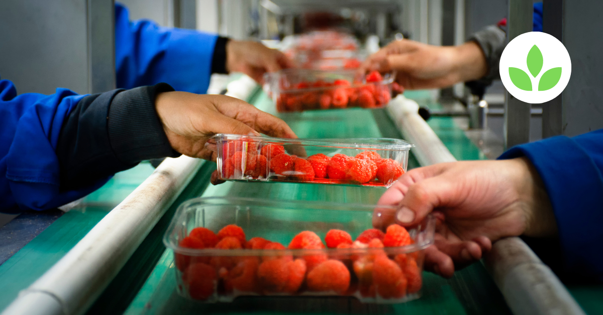 Featured image - From Farm to Packhouse How GroDrivers and GroFresh Streamline the Agricultural Supply Chain