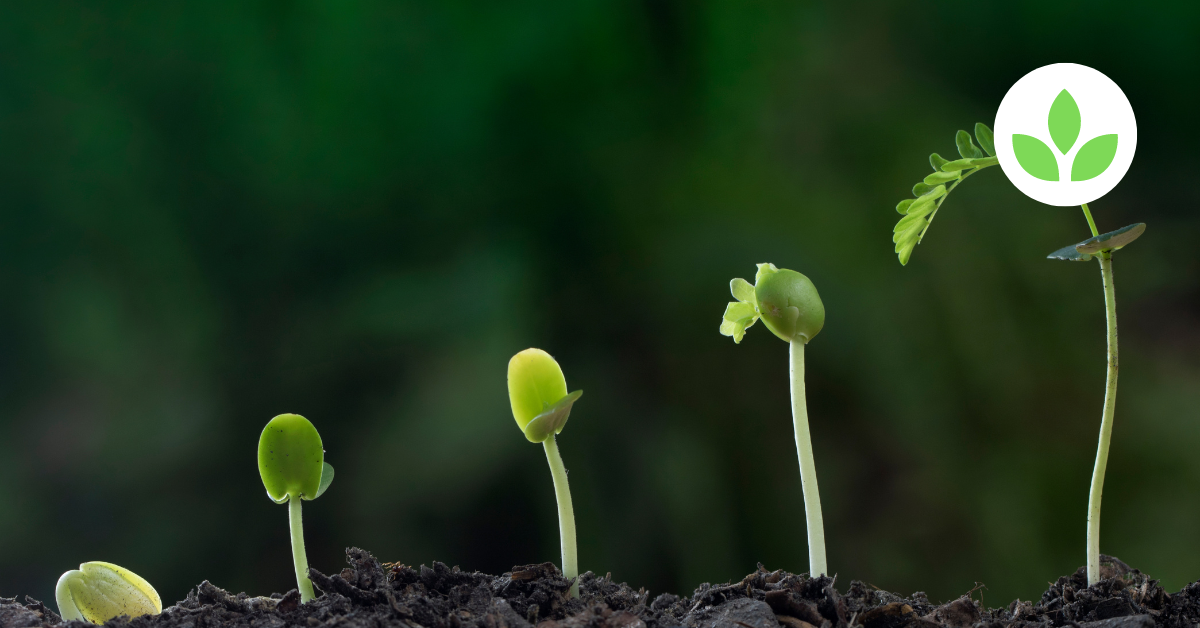 From Seeds to Harvest: Tracking the Life Cycle of a GroTower Garden
