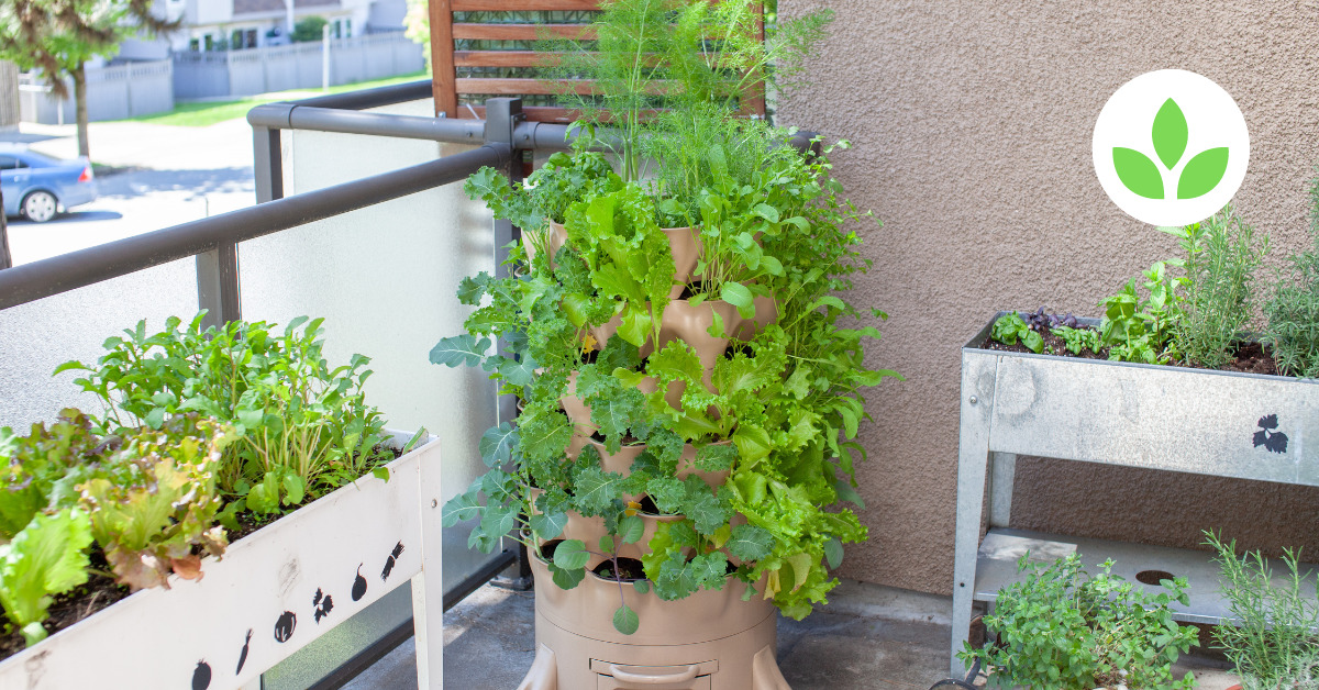 GroTower: A Game-Changer for Urban and Small-Scale Farming