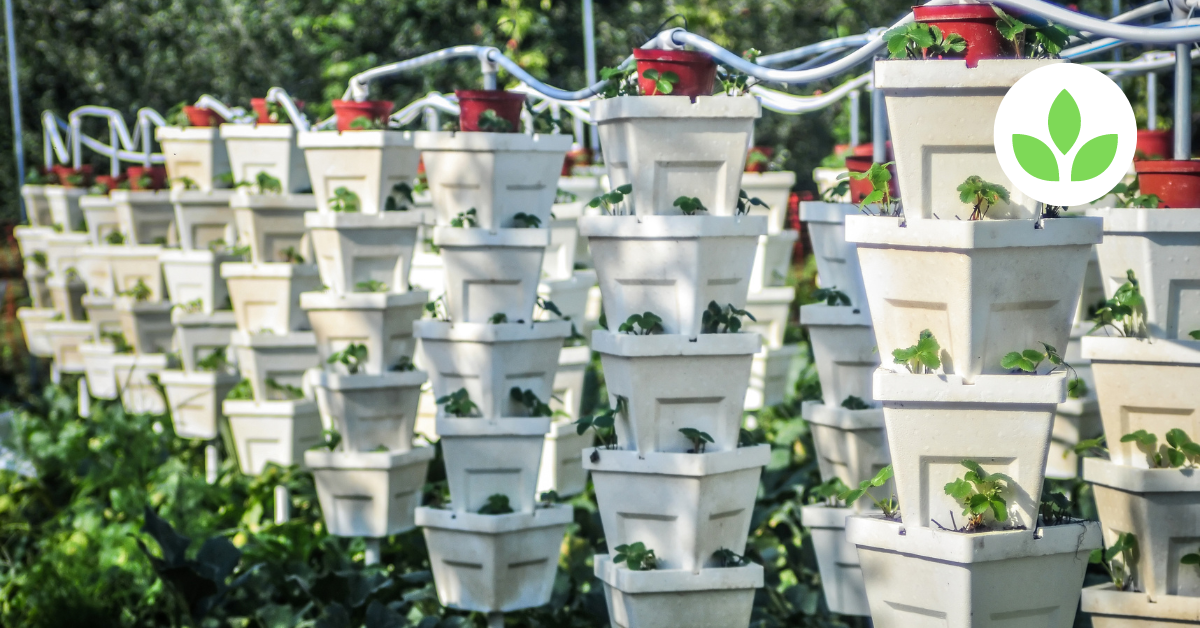 How GroTowers Transform Farming for Low-Capital Farmers