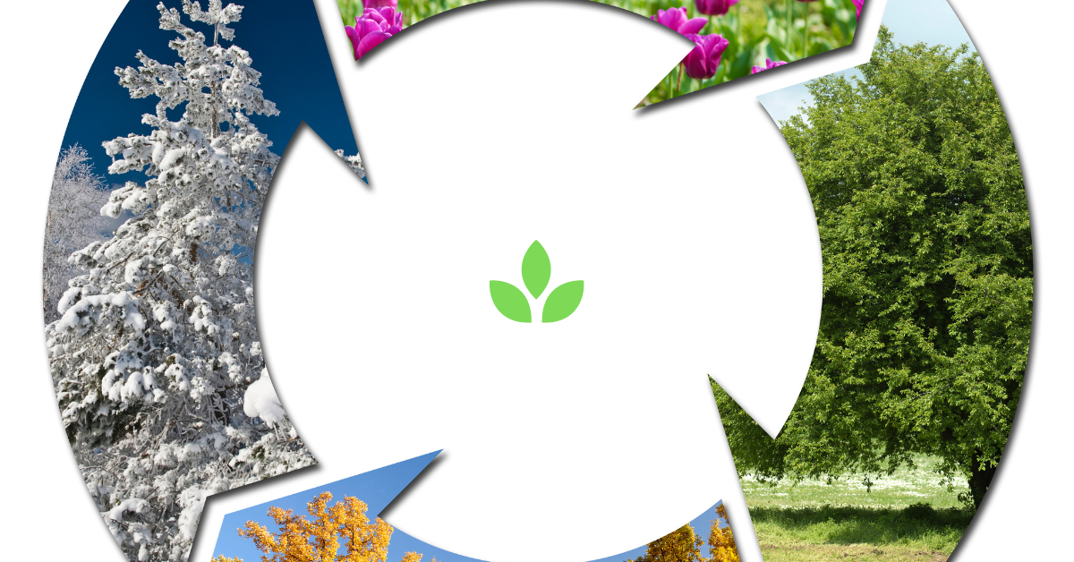 GroTowers for All Seasons: How to Grow Year-Round