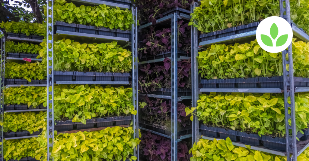 Featured image - GroTowers in Education Teaching Sustainability and Agriculture in Schools