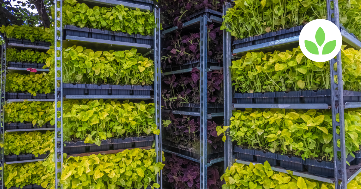 GroTowers in Education: Teaching Sustainability and Agriculture in Schools