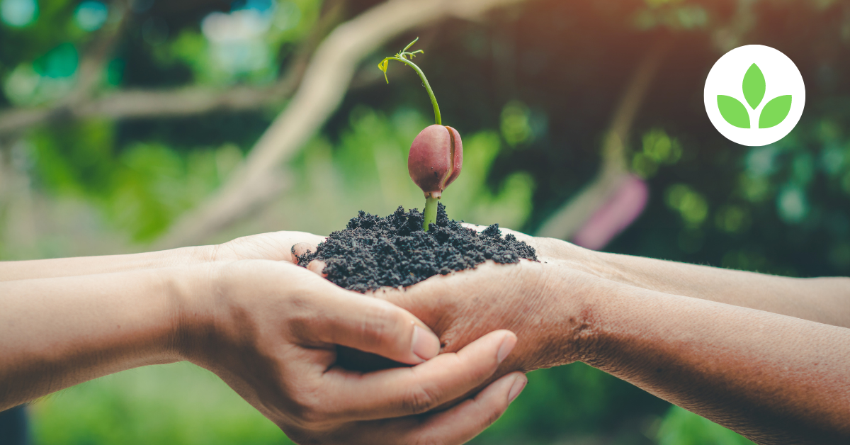 Featured image - The GroTower Journey From Concept to Global Movement