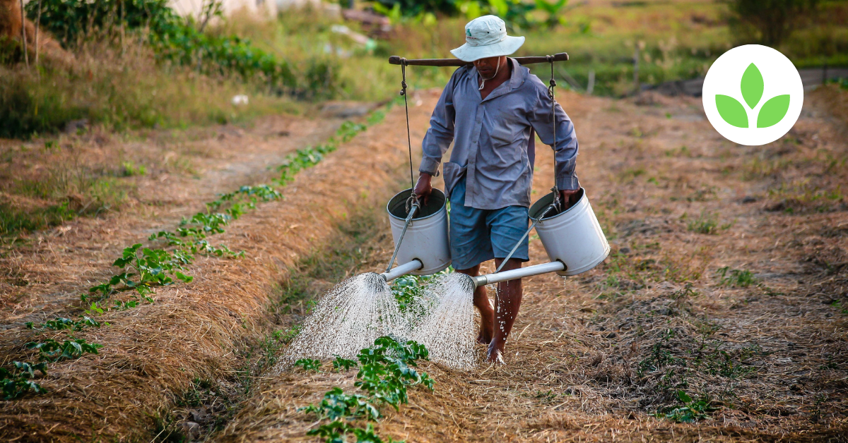 The Role of GroSpace in Rural Agricultural Development