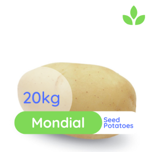 GroSpace - Mondial Seed Potato