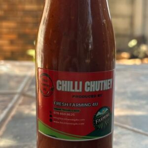 Chilli Chutney Regular 375ml