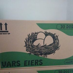 Large box eggs for sale