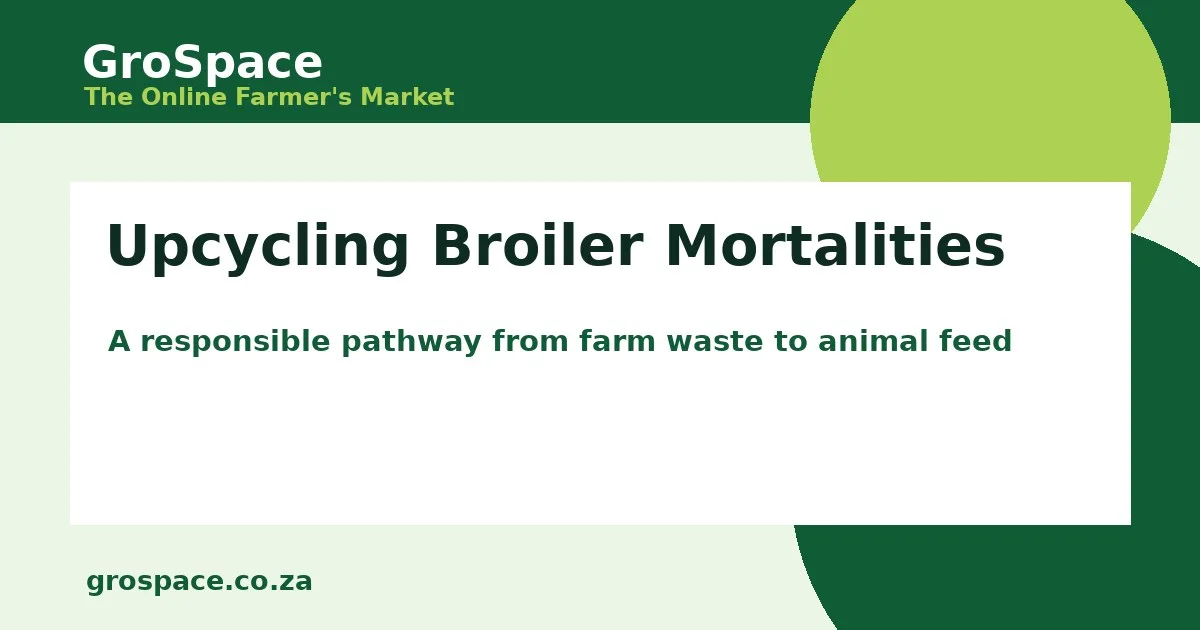 Upcycling Broiler Mortalities - GroSpace article cover image